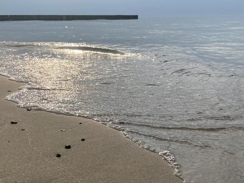 Роспотребнадзор вновь запретил купание на всех пляжах Петербурга