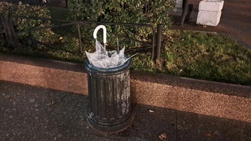 Санкт-Петербург продлил действие «желтого» уровня опасности