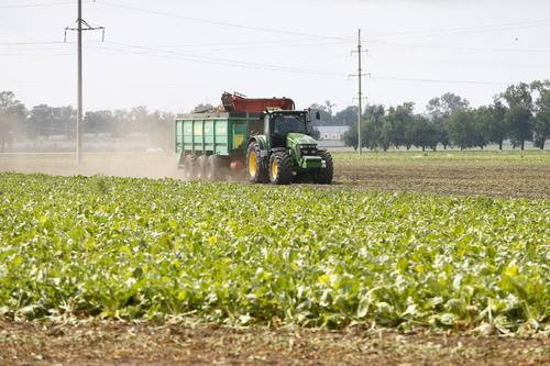 Экономика Успенского района формирует более 33 млрд рублей краевого объема базовых отраслей