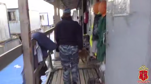 Полиция проверила стройки Ленинградской области и нашла 130 нелегалов