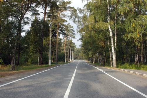 В Тихвинском районе произошло смертельное ДТП с участием пенсионеров