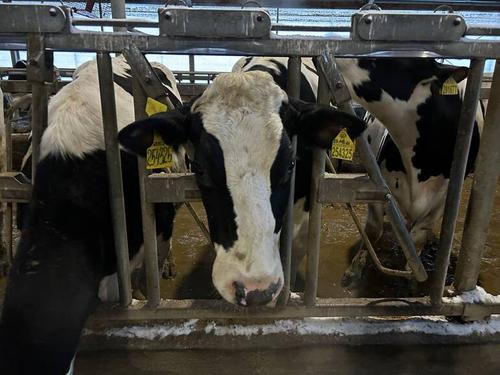 Проверка выявила нарушение использования земельного участка в Горелово