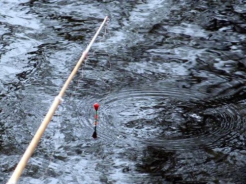 Спасатели нашли тело мужчины на озере в Приозерском районе