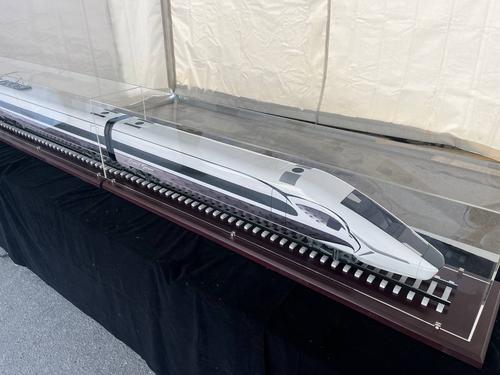 Савельев предложил провести народное голосование для выбора имени поезда