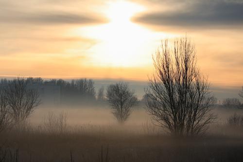 Спасатели провели 32 операции в лесных массивах Ленобласти