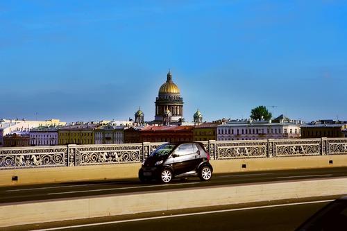 Поисковики обработали 382 заявки за август в Петербурге и области