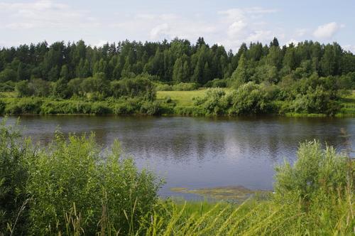 За сутки в лесах Ленобласти спасли двоих и вынесли тело еще одного человека