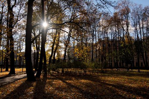 Двое молодых людей предстанут перед судом за хулиганство в Сан-Галли