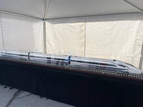 В России приступили к созданию первой линии ВСМ