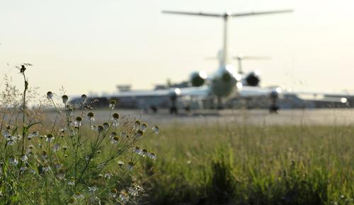 Пассажиры четырех рейсов не смогут вылететь из Пулково в субботу