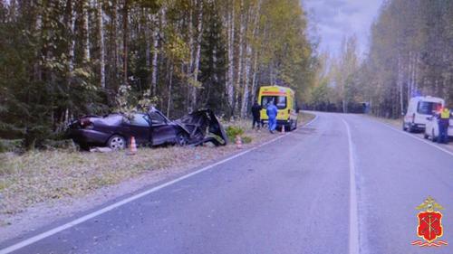 Уголовное дело завели после аварии со смертельным исходом под Тихвином