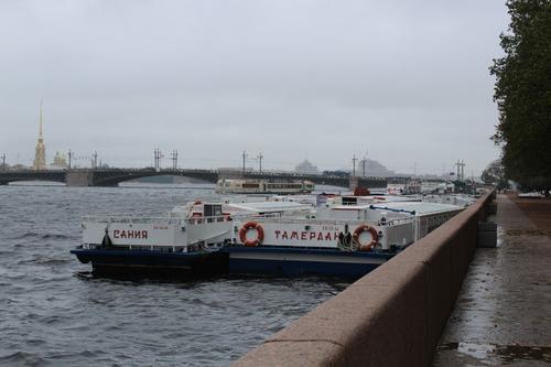 Спасатели предупредили петербуржцев о сильных порывах ветра в субботу