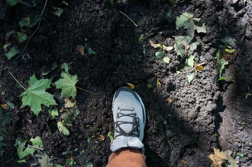 Пропавшего в Мончегорске подростка ищут в Петербурге и Ленобласти
