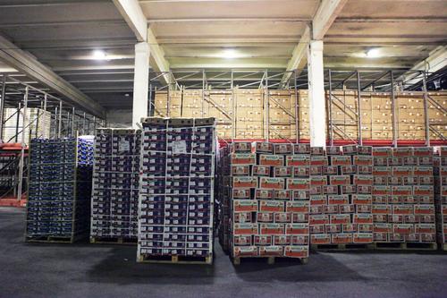 За год сельхозпредприятия Ленобласти увеличили сбор зерна на 4%