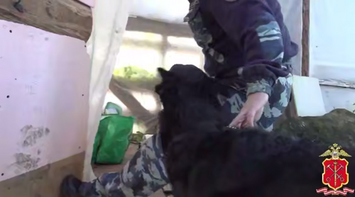 В Ленобласти проверили около 300 иностранных граждан