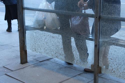 Петербуржцы неоднозначно оценили установку остановочных павильонов