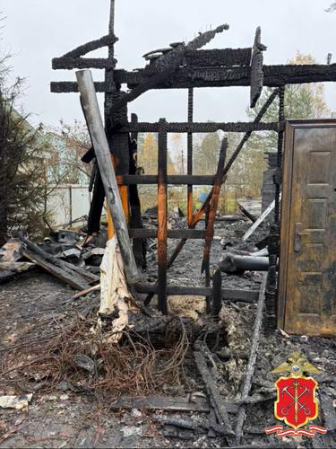 Полицейские задержали внука по подозрению в поджоге дома бабушки в Ленобласти