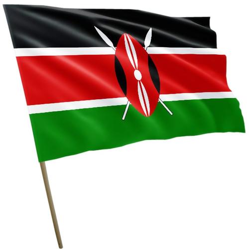 Президент Кении Руто попросил Зеленского об освобождении попавших в зону боевых действий на Украине кенийцев