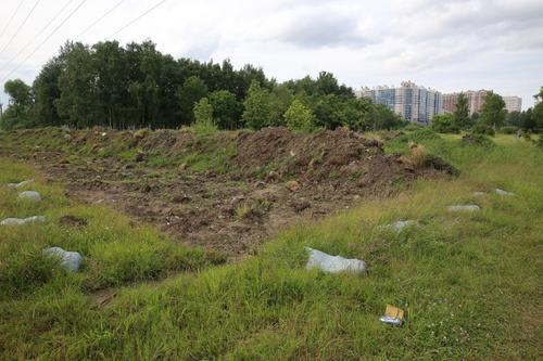 Петербургскому «Водоканалу» грозит штраф за загрязнение Муринского ручья