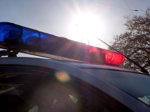 В Петербурге возбудили дело после ликвидации интим-салонов