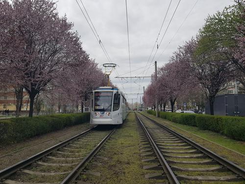 Директор МУП «КТТУ» объяснил, чем чревата езда на крыше трамвая