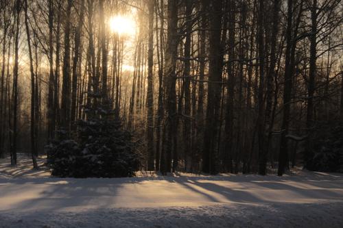Коммунальные службы Ленобласти готовы к зимним холодам