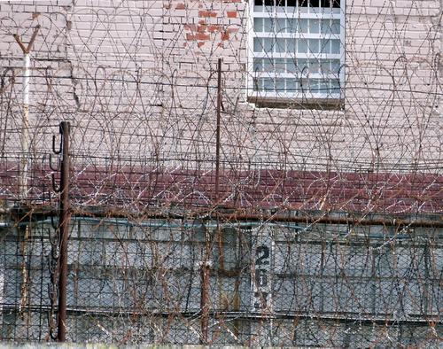 В Луге осудили мужчину за повторное вождение в нетрезвом виде