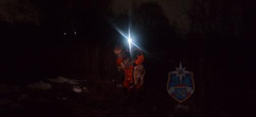 Собака была спасена спасателями после выхода на тонкий лед в Тосно