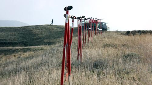 Под Феодосией высадили лес на месте пожара шестилетней давности