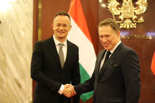 Михаил Мурашко на XVI заседании Российско-Венгерской МПК: Россия открыта и готова к дальнейшему углублению партнерских отношений с Венгрией