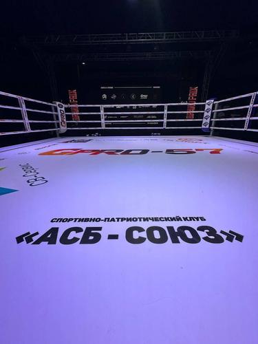 Михаил Лисов запускает федеральный проект «Сильное Отечество»