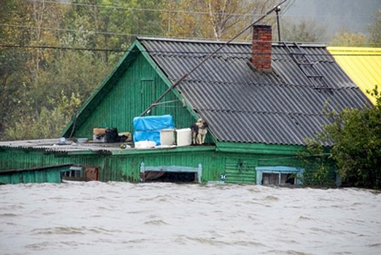 На Дальнем востоке вода уходит, ЧС сняли - чиновники расслабились