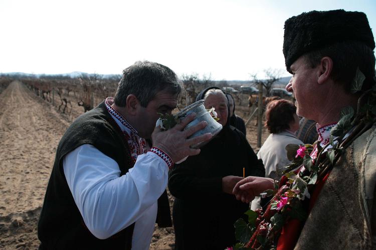 Болгария:  София приглашает на  Балканский фестиваль ракии