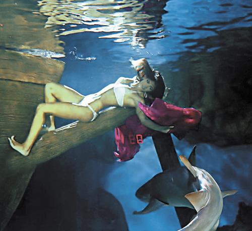 Акулы там – сбоку припёку