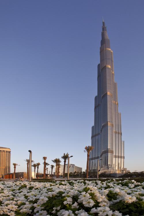 ОАЭ: Дубай стремится стать самым зеленым городом мира