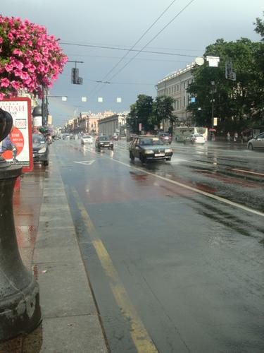 Сэкономили на блокадниках