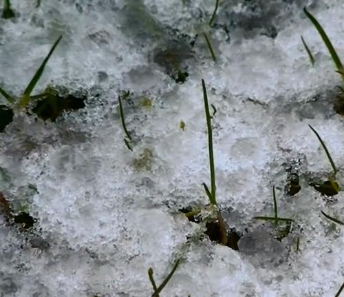 Снег – дело серьёзное