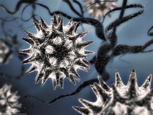 В колымской вечной мерзлоте ожил гигантский вирус