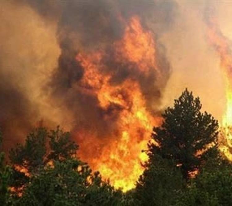 Гринпис пророчит засуху: начались торфяные пожары под Москвой