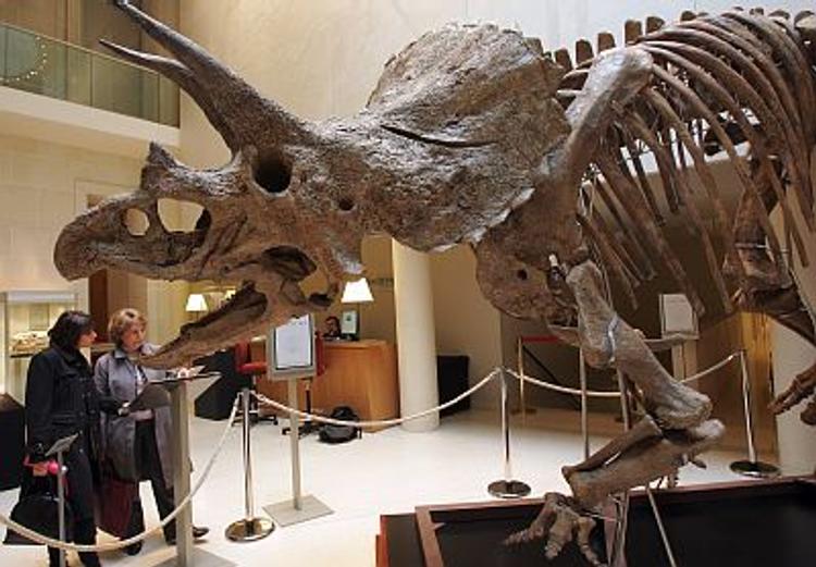 В первый апрельский день свет увидел клон динозавра (ФОТО)
