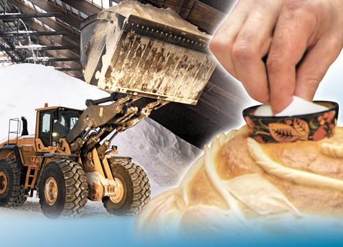 Государственный посол