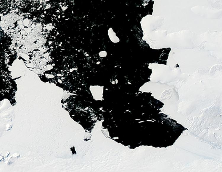 Президент приравнял покорителей Антарктиды к работникам Севера