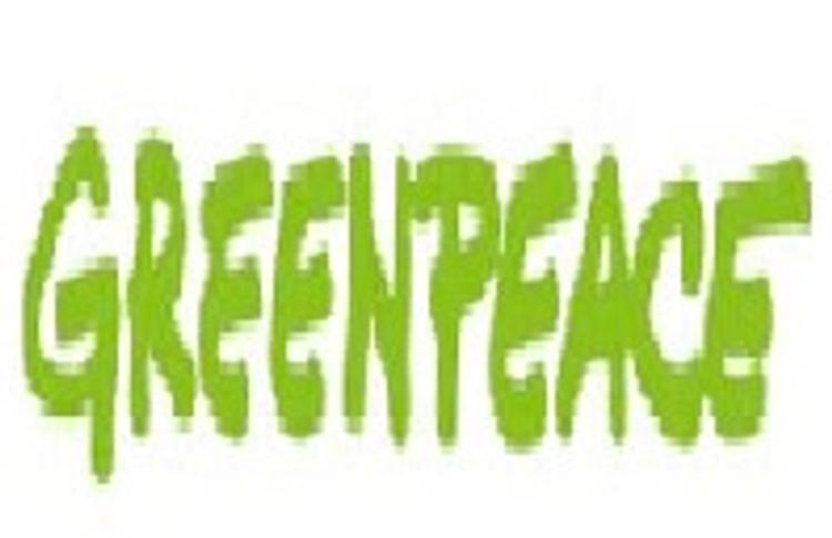 Greenpeace лишилась пожертвований на € 3,8 млн из-за ошибки сотрудника