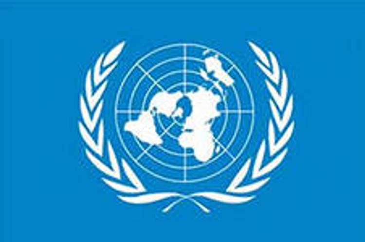 ООН  рассмотрит данные о применении Киевом запрещенного вооружения
