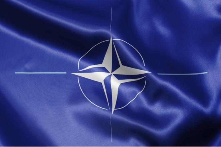 НАТО усиливает свою активность в Восточной Европе