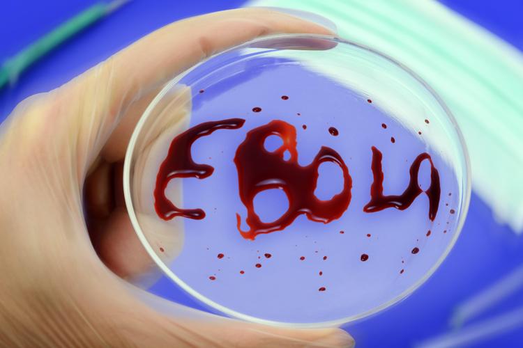 В России разработали экспериментальную вакцину против Эболы
