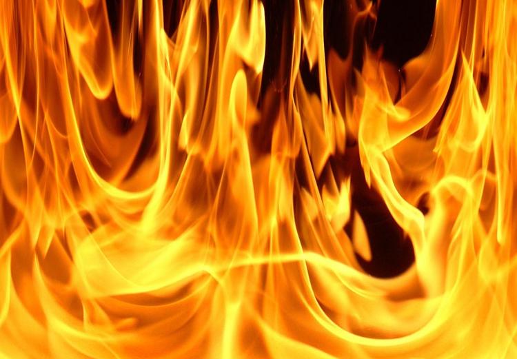 При пожаре в Самарской области сгорели 46 быков и сторож