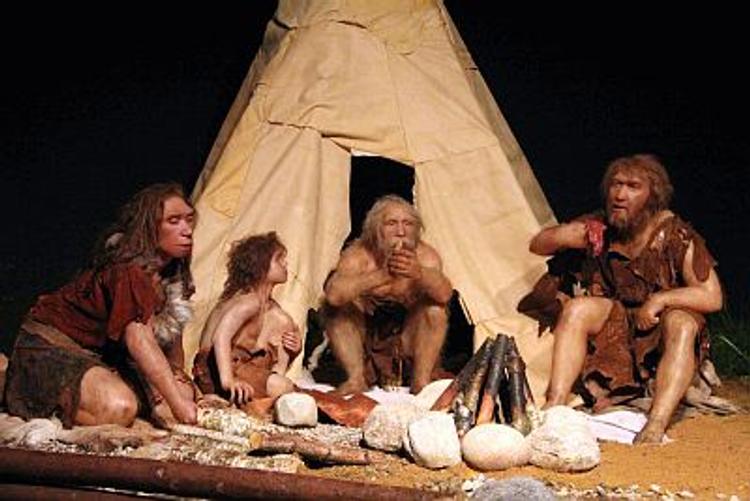 Волшебная сила искусства действовала и на неандертальцев? (ВИДЕО)