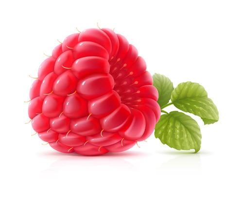 Ягода малина неслучайно нас манила