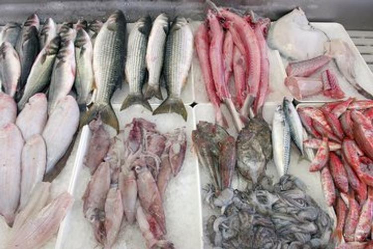 Депутат Госдумы предлагает исключить импортную рыбу из госзакупок